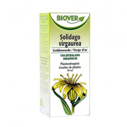 Solidago virgaurea - Verge d'or - Teinture Mère