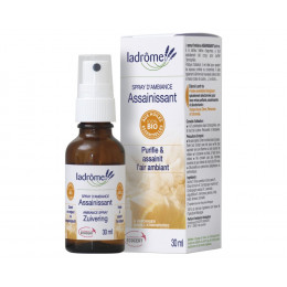 Spray d'ambiance assainissant - 30 ml