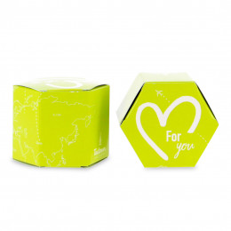 GREEN ZEST boite verte de 10 infusettes Thé vert aromatisé Citron BIO