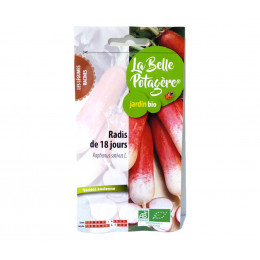 Radis 18 jours 3g - Raphanus sativus L.