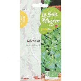 Mâche Vit 1g - Valerianella locusta L.