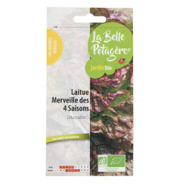 Laitue Merveille des 4 saisons 0,5g - Latuca sativa L.