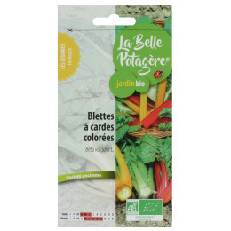 Blette à cardes colorées - Beta vulgaris L.