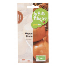 Oignon sturon 1g - Allium cepa L.