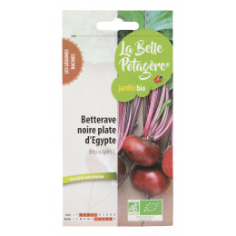 Betterave noire plate d'Egypte 2,5g - Beta vulgaris L.