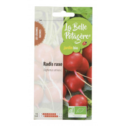 Radis raxe 3g - Raphanus sativus L.