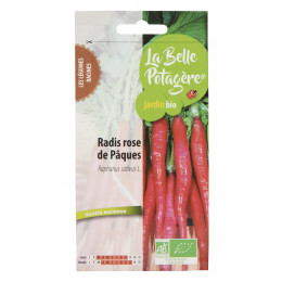 Radis rose de Pâques 3 g - Raphanus sativus L.