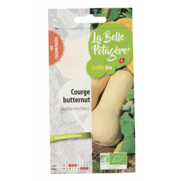 Courge Butternut - Cucurbita moschata L - 2,5g