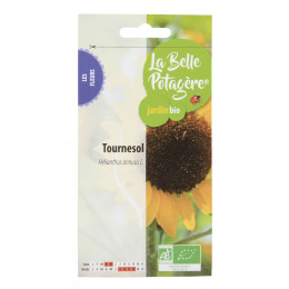 Tournesol - Helianthus annuus L. - 4.5g