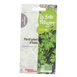 Persil géant d'Italie 2g - Petroselinum crispum ssp. L.