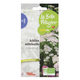 Achillée millefeuille - Achillea millefolium L. - 0,15g