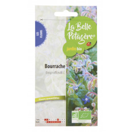 Bourrache officinale - Borago officinalis L. - 2g
