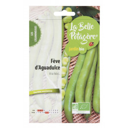 Fève d'Aguadulce 50g - Vicia faba L.