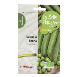 Pois nain Rondo 50g - Pisum sativum L.
