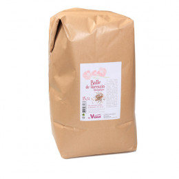 Recharge de balles de Sarrasin Bio 15,5 L