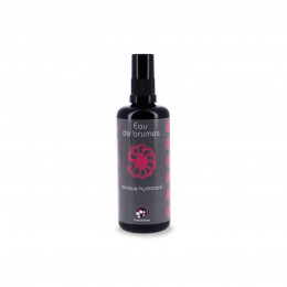 Eau de brumes tonique hydratant