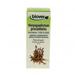Harpagophytum procumbens - Griffe du diable - Teinture Mère