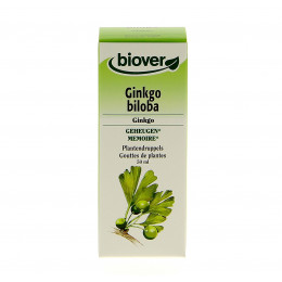 Ginkgo biloba - Teinture Mère