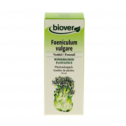 Foeniculum vulgare - Fenouil - Teinture Mère