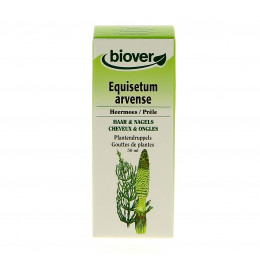Equisetum arvense - Prêle - Teinture Mère