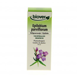 Epilobium parvi - Epilobe - Teinture Mère
