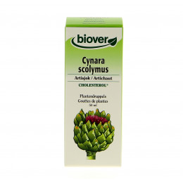 Cynara scolymus - Artichaut -Teinture Mère