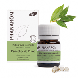 Perles d'huile essentielle BIO - Cannelier de Chine - 60 perles
