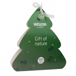 Coffret cadeau - Sapin