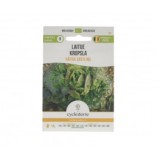 Laitue Hâtive Erstling - 0,50 g