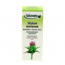 Silybum marianum - Chardon Marie - Teinture Mère