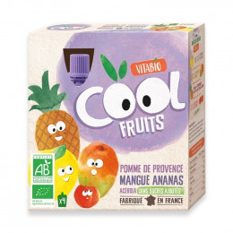 Cool Fruits - Pomme Mangue Ananas - 4 gourdes