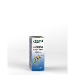 Huile essentielle Eucalyptus globulus - feuille Bio 50 ml
