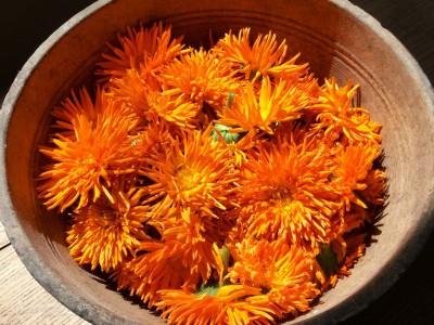 Les 5 grands bienfaits du calendula pour les soins de bébé