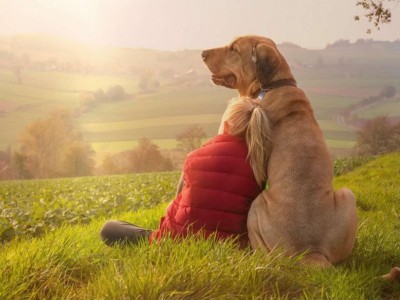 Journée mondiale contre l'abandon des animaux, on chouchoute les nôtres ?